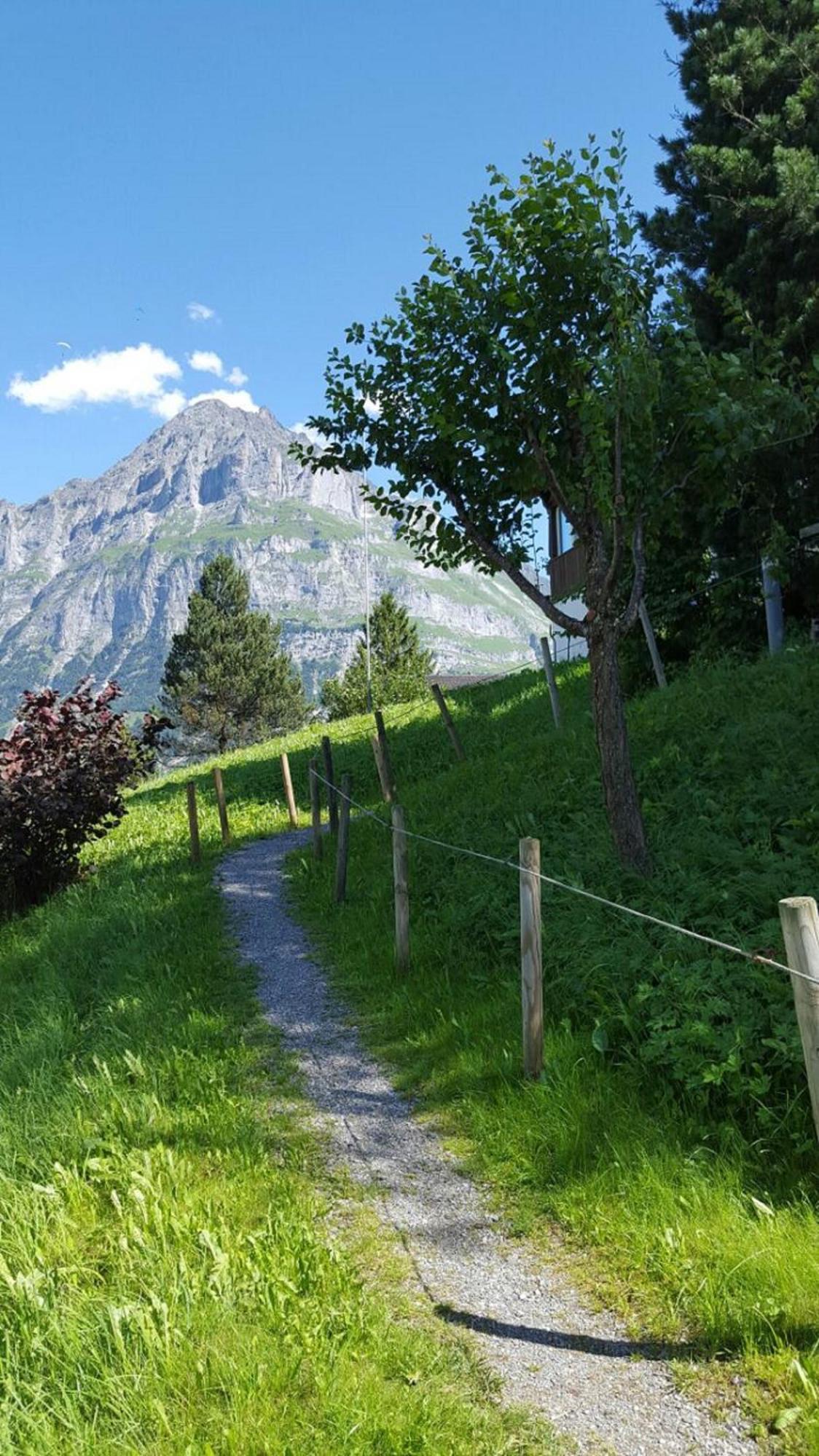 Chalet Waergistal Grindelwald Eksteriør billede