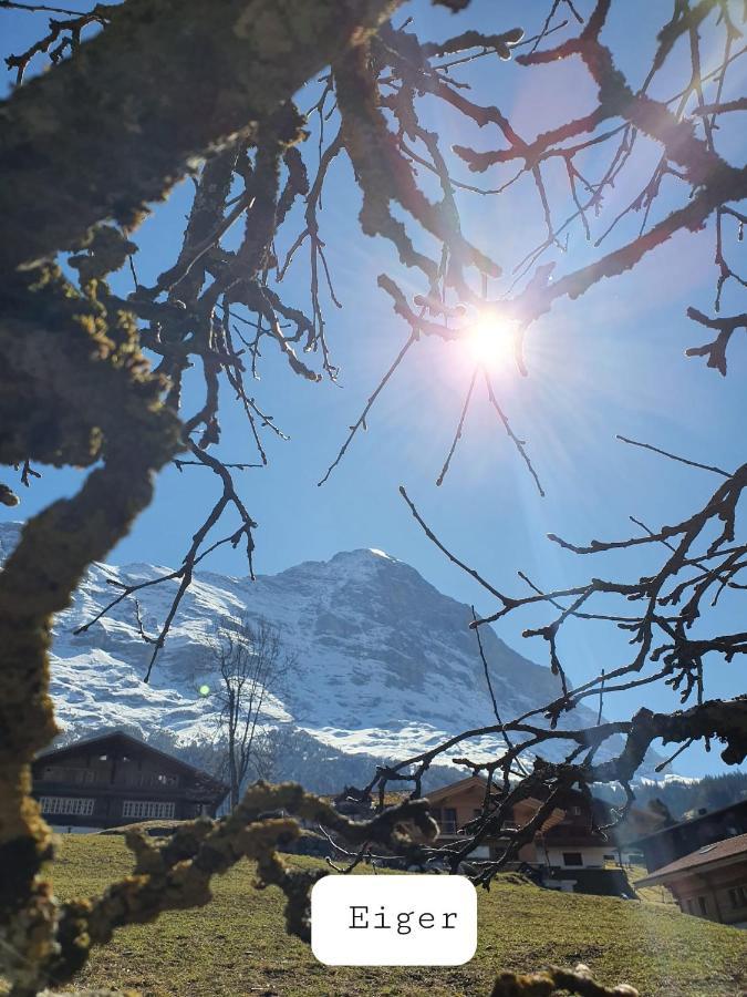 Chalet Waergistal Grindelwald Eksteriør billede