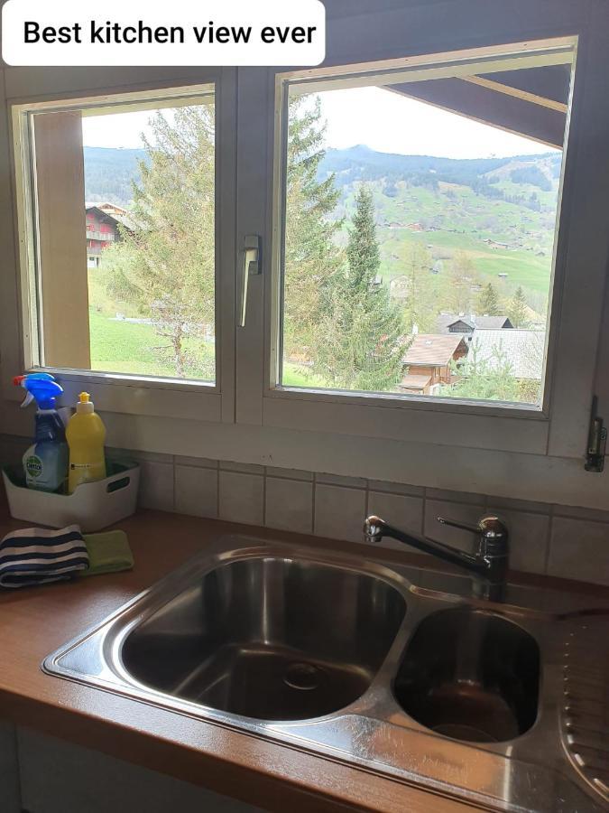 Chalet Waergistal Grindelwald Eksteriør billede
