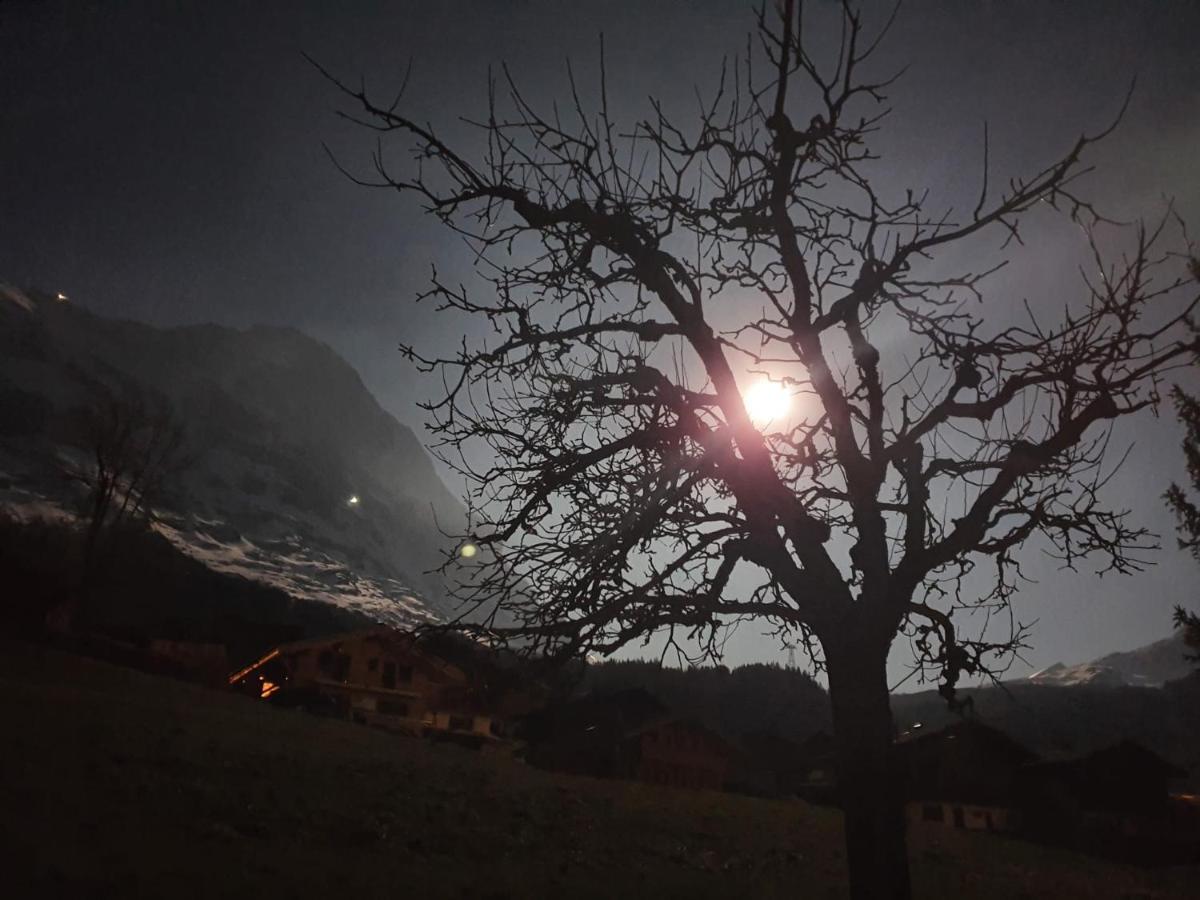 Chalet Waergistal Grindelwald Eksteriør billede