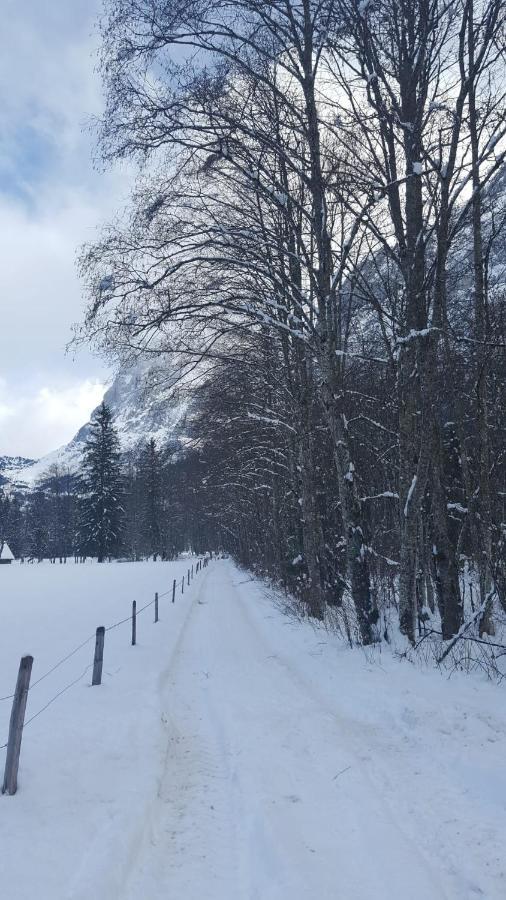 Chalet Waergistal Grindelwald Eksteriør billede
