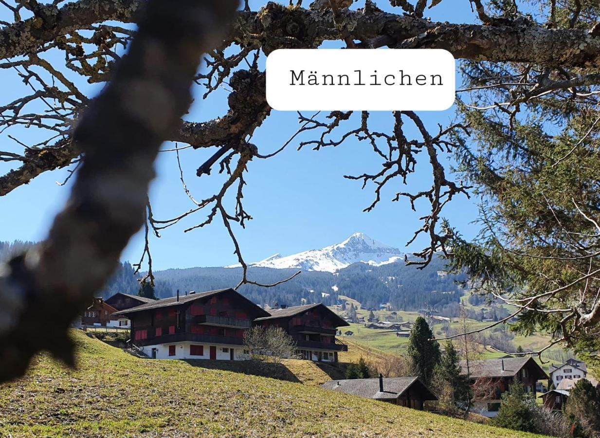 Chalet Waergistal Grindelwald Eksteriør billede